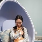 初対面の猫が膝に飛び乗ってきた→出産直後なのに赤ちゃんや飼い主が見当たらず→歯のホワイトニング専門店の人気看板猫に