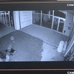 小学校の窓ガラスにクマ激突、襲われた市職員は重傷　1週間たっても捕獲できず…人口3万人の山形県南陽市で警戒続く