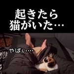 ソロキャンプ中、起きたら猫がいた！なぜ？（「あちにゃ～」さん提供、Instagramよりキャプチャ撮影）