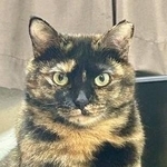 女の子なのにイケニャンな表情も見せてくれる、サラミちゃん