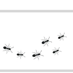 「ティッシュの箱にいつの間にかアリが集まっていた…」そんな経験はありませんか？※画像はイメージです（Gaaz Design/stock.adobe.com）