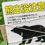 6割以上が「害獣の目撃情報や被害が増えたと感じる」　※画像はイメージです（d3_plus/stock.adobe.com）