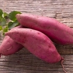 さつまいもの芽は食べられる？ 長持ち＆おいしさ倍増の保存ワザ