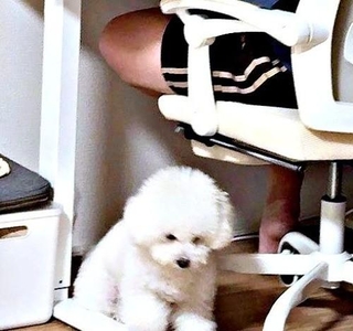 パパと遊んでほしくて……持ってきたのは？（画像提供：あぽちぃさん）