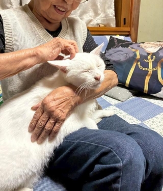 おばあちゃんのお膝が大好き／提供：yukaさん