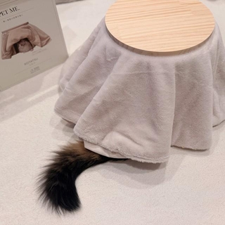 すぐにコタツにもぐり込んだ猫ちゃんですが…（画像提供：マンチカンのアーサーさん）