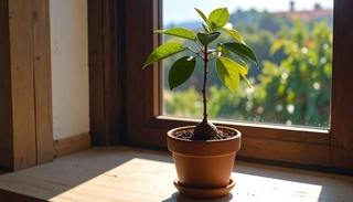 本来なら、こんな感じのはずが…（Guru/stock.adobe.com）※画像はAIで生成されたイメージです