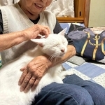 おばあちゃんのお膝が大好き／提供：yukaさん