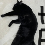 リアルな「けものへん」！？（画像提供：ティグノアさん）※一部トリミング