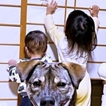 「すごい顔」が、SNSで大人気になった元保護犬のころくくん。「笑撃ショット」との声も寄せられました（画像提供：保護犬ころくさん）