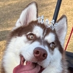 普段はとってもプリンセスなぶなちゃん