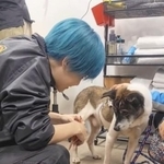 飼い主が死去→異臭と汚れがひどい犬を保護、首輪が食い込んだような跡も　それでもシャンプーに尻尾を振ってくれた