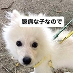 迎えた当初はとても臆病だった蘭丸くん（飼い主さん提供、Instagramよりキャプチャ撮影）