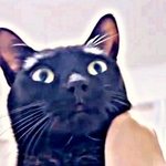 うにちゃんを撫でる手が首元まで来るとーー（画像提供：うおおおさん）