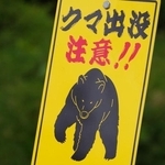 約4割が「現在、住んでいる地域でクマなど野生動物被害の不安を感じる」　※画像はイメージです（KATSU/stock.adobe.com）