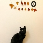 絵になります（画像提供：yamato houseさん）