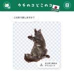 綺麗に自動で切り抜かれた我が家の猫（かわいい）