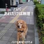 ローソン前でビビって後ずさりする犬さん……そこにいたのは？「へっぴり腰が可愛すぎる」「うちの犬も同じ」