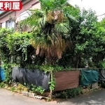 足元まで草木が迫り、長年手入れされていなかった庭／市川の便利屋さん（@ichikawanobenriya）提供