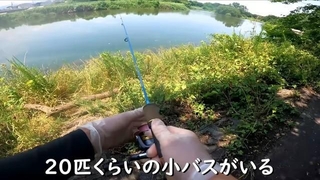 小バスが群れで泳ぐ場所で再び竿を出す／埼玉ママチャリ小物釣りさん（@saitamakomonotsuri）提供