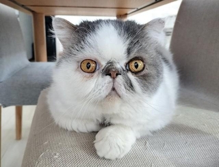 当日の朝は、いつも通り元気な姿だった