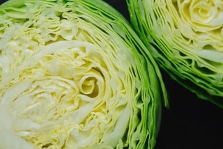 「キャベツの最高の消費方法」とは…※画像はイメージです（reddish/stock.adobe.com）