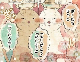 自分の名前を勘違いしている子猫たち／桜プリンさん（@kuiruri）提供＝画像をトリミングしています