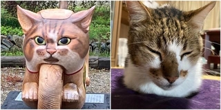 猫バイクを真正面からみると、寺の飼い猫「アウアウ」（写真右）にそっくり！（雲林寺提供）