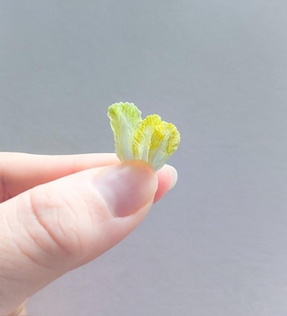 とても精巧にできています！（画像提供：テテシゴト・ミニチュア刺繍糸作家さん）