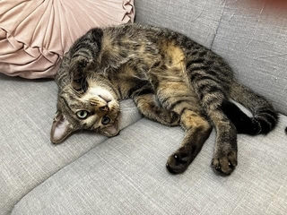 無防備な姿から、ふたりの信頼関係が伝わってくる