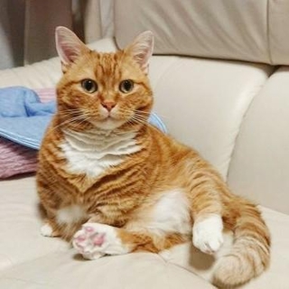 元気だった頃。闘病中は、写真を撮ることもできなかった