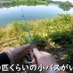 小バスが群れで泳ぐ場所で再び竿を出す／埼玉ママチャリ小物釣りさん（@saitamakomonotsuri）提供