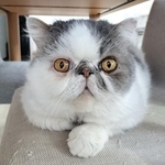 当日の朝は、いつも通り元気な姿だった