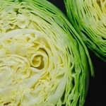 「キャベツの最高の消費方法」とは…※画像はイメージです（reddish/stock.adobe.com）