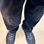 こんなに抜けるの！？「膝に柴犬を受けてしまってな…」朝散歩で起きた“毛だらけハプニング”に「柴あるある」「うらやましい」の声殺到