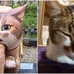 猫バイクを真正面からみると、寺の飼い猫「アウアウ」（写真右）にそっくり！（雲林寺提供）