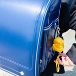 「ランドセルに荷物が入りきらない」と答えた人は2割超 ※画像はイメージです（mdesign/stock.adobe.com）