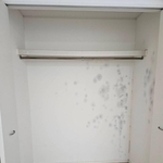 新築物件になぜ大量のカビが…（億トレ大家さん提供）