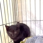 雪の中での再会、「涙が止まらなかった」（高村さん提供、Instagramよりキャプチャ撮影）