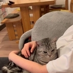 ママさんに抱っこをせがんだ猫さん、この後可愛い行動に…「ママ～って言ってるみたい」「どちらも幸せ」