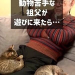 ただ座っていただけなのに…子猫たちに懐かれてしまったという（猫と音楽家さん、Instagramよりキャプチャ撮影）