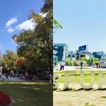 札幌と福岡…二つの都市を比較すると…