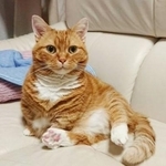 元気だった頃。闘病中は、写真を撮ることもできなかった