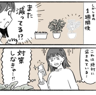 何度も野菜が盗まれる！（いとうみゆきさん提供）