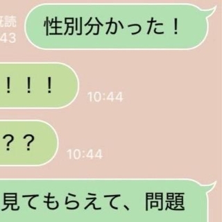 「性別分かった！」夫に報告すると… ／ハルさん（@nameko__Q）提供＝画像をトリミングしています