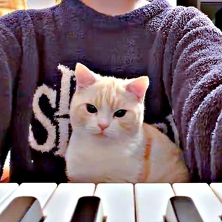 ピアノ演奏「猫ふんじゃった」を聞くうにくん（画像提供：こぴさん）