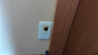 実家のコンセントが…（只野檸檬さん提供）