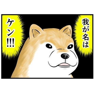 川で拾った犬の名はケン（夢窓かずみさん提供）