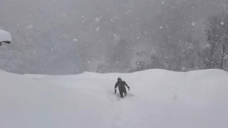 深い雪の中を進んで行きます（動画よりキャプチャ、画像提供：田中一馬 但馬牛農家の精肉店・田中畜産さん）