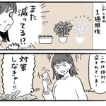 何度も野菜が盗まれる！（いとうみゆきさん提供）